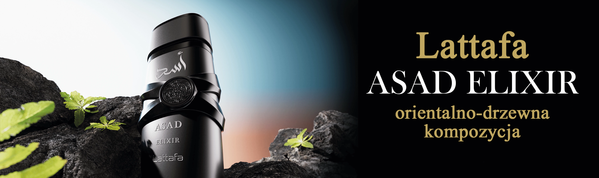 Lattafa Asad Elixir Edp 100ml woda perfumowana męska