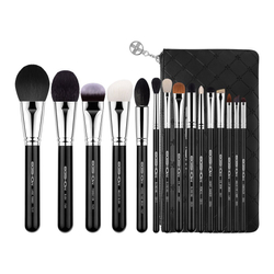 Eigshow zestaw 15 pędzli Master Classic Brush Kit Bright Silver