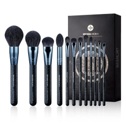 Eigshow Beauty ZODIAC seria 12 częściowy Profesjonalny zestaw pędzli do makijażu